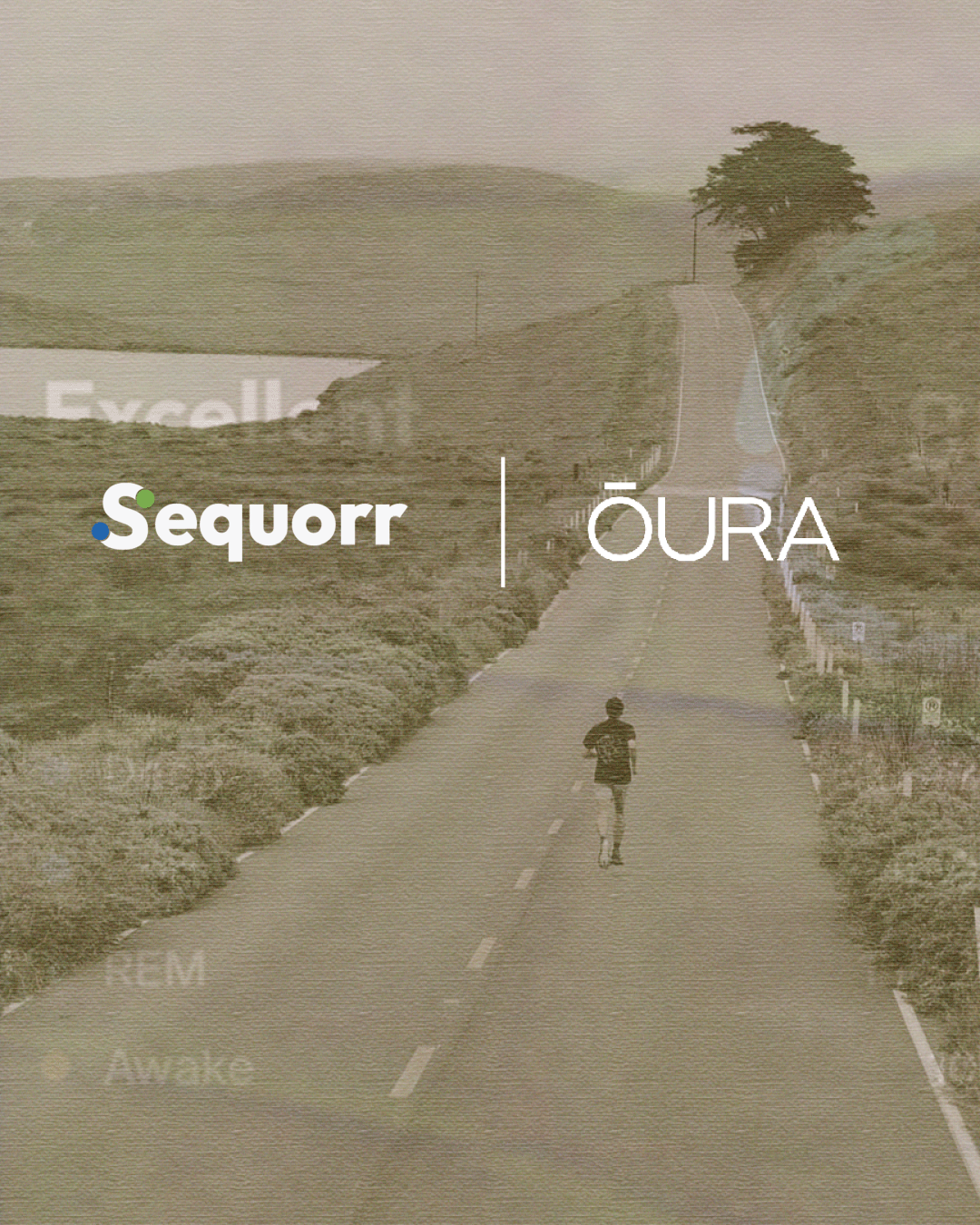 A night of sleep recorded on an Oura ring syncing into Sequorr